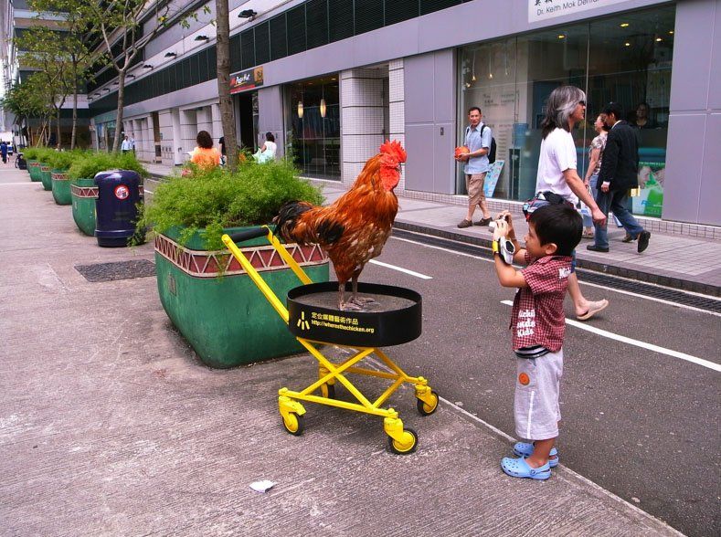 Chicken road game, chicken road spel