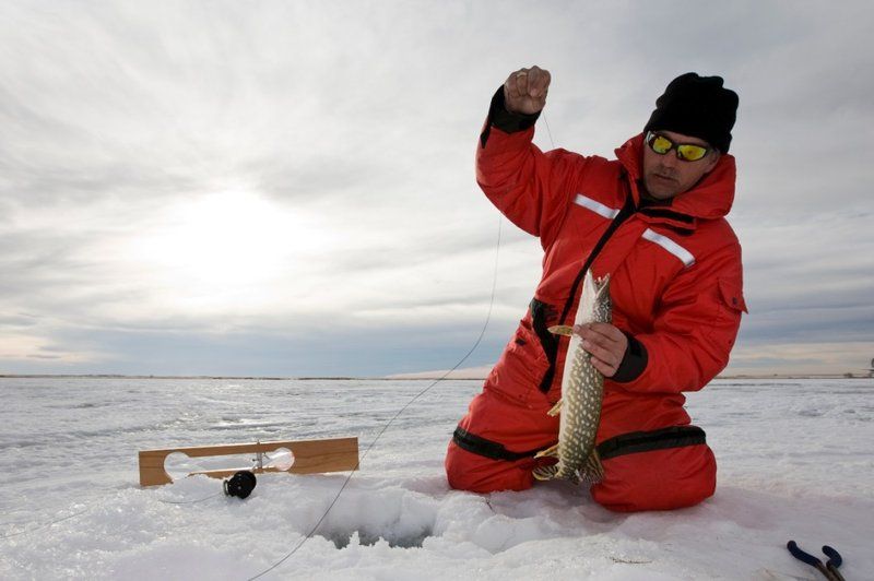 Ice fishing - Experience the Thrill of Ice Fishing Live Casino in the UK